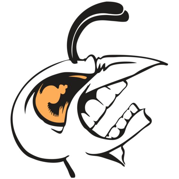 BAW BEE 19 RC Miniaturansicht