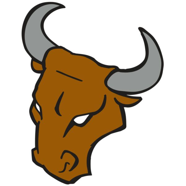 AR BULL 28 RC Miniaturansicht