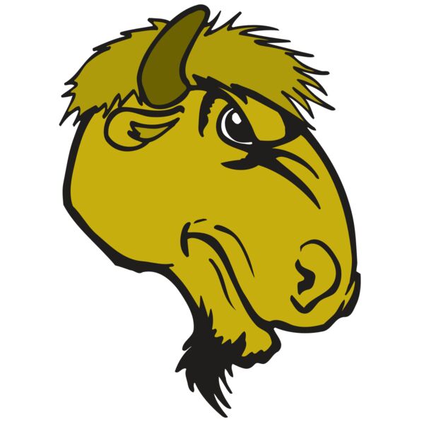 AR BUFFALO 14 RC Miniaturansicht