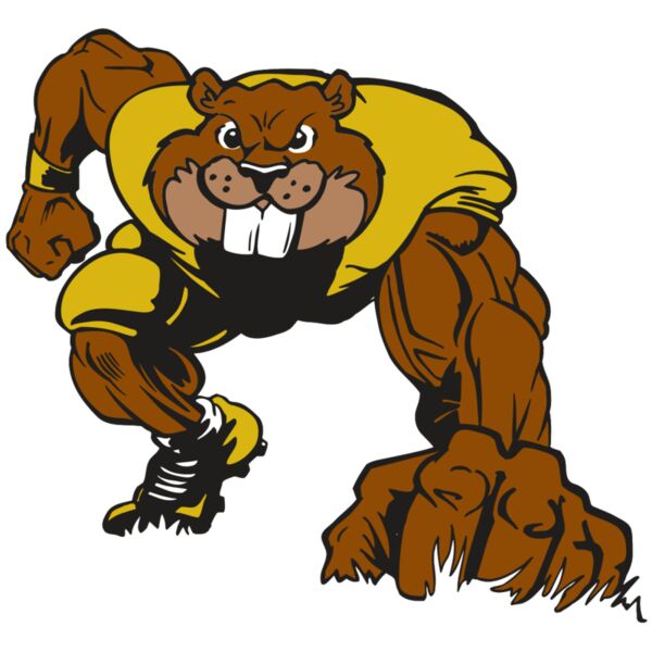 AR14 BEAVER FBLL 03 RQC Miniaturansicht