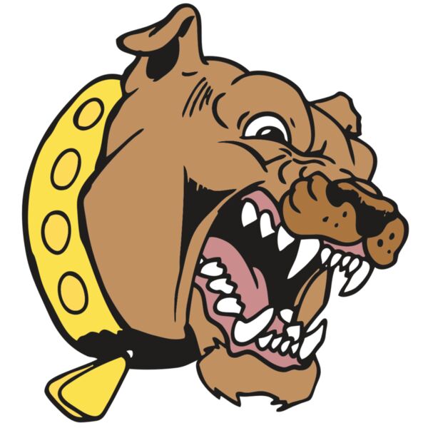 AR BDOG 49 RC Miniaturansicht