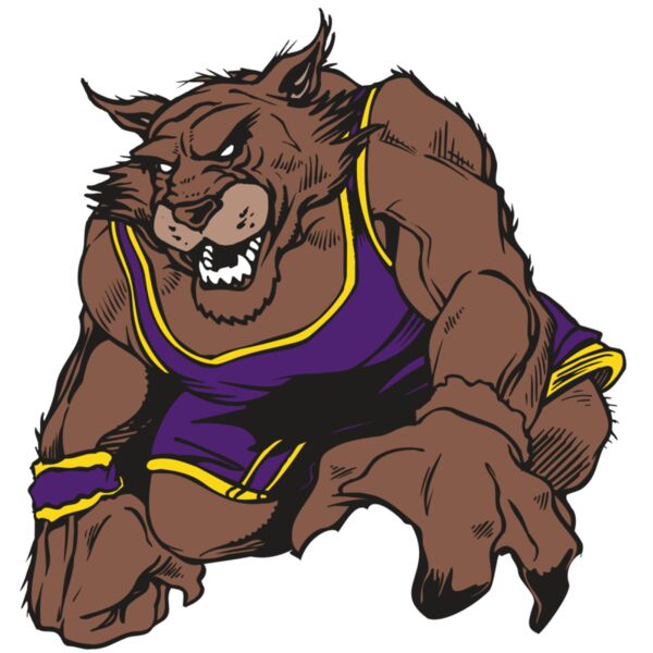 AR WILDCAT 23 RC Miniaturansicht