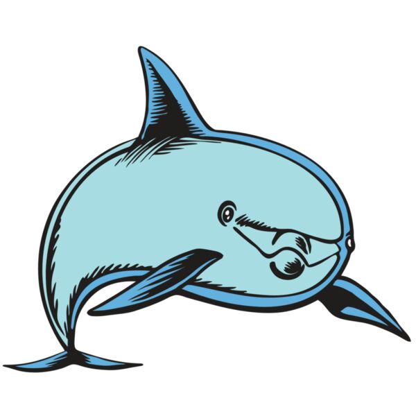 BAW DOLPHIN 04 RC Miniaturansicht