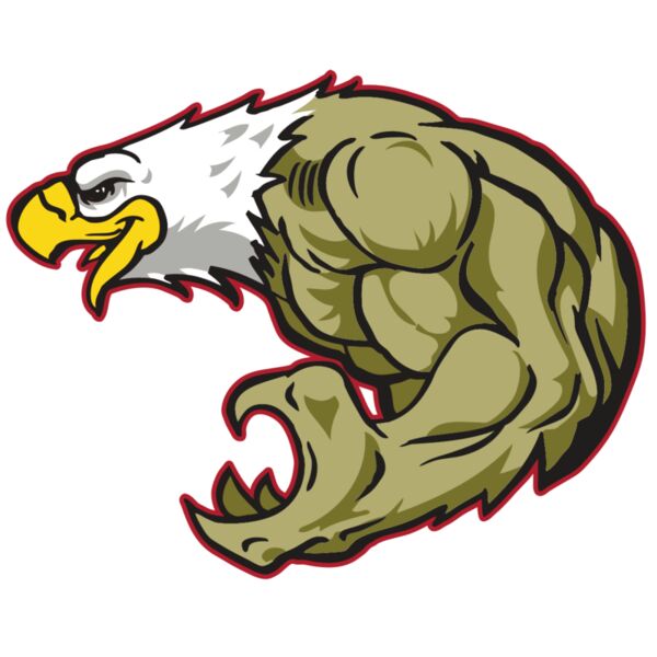 AR EAGLE 22 RC Miniaturansicht