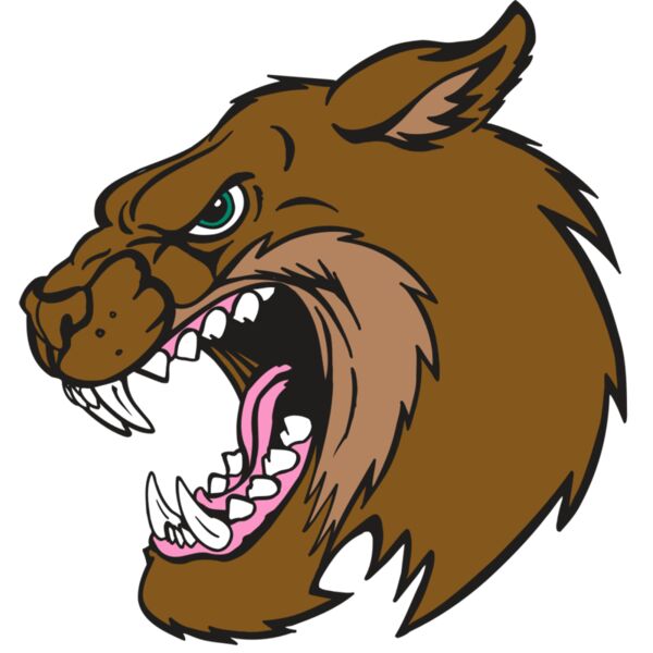 AR5 BOBCAT 18 RQC Miniaturansicht