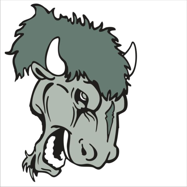 AR BUFFALO 19 RC Miniaturansicht