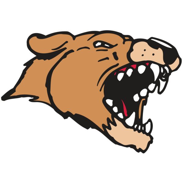 AR5 COUGAR 33 RQC Miniaturansicht