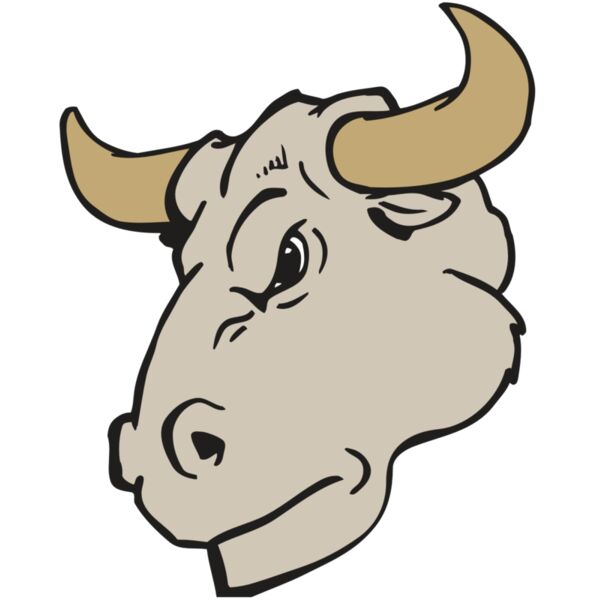 AR BULL 25 RC Miniaturansicht