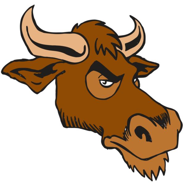 AR5 Bull 06 RQC Miniaturansicht