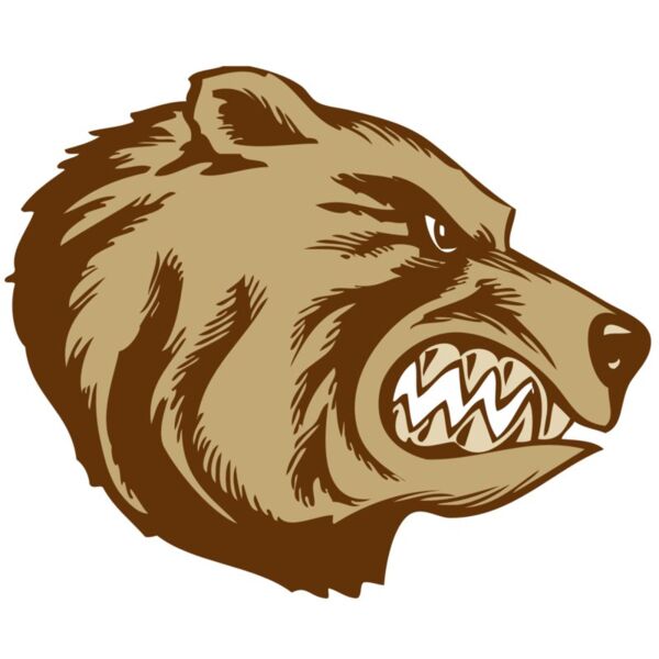 BAW BEAR 16 RC Miniaturansicht