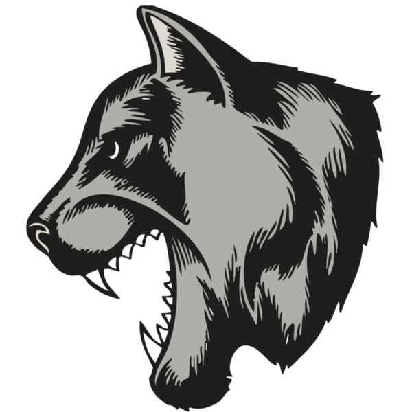 BAW COUG PANTH 06 RC Miniaturansicht