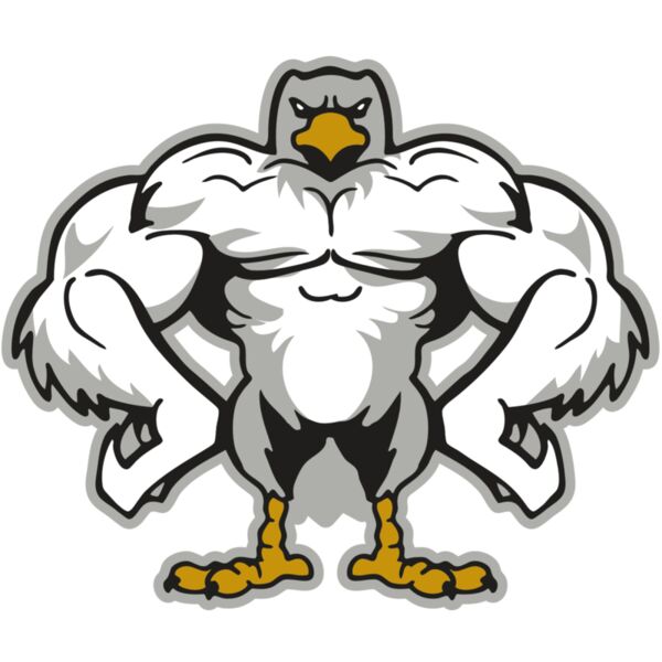 AR EAGLE 34 RC Miniaturansicht