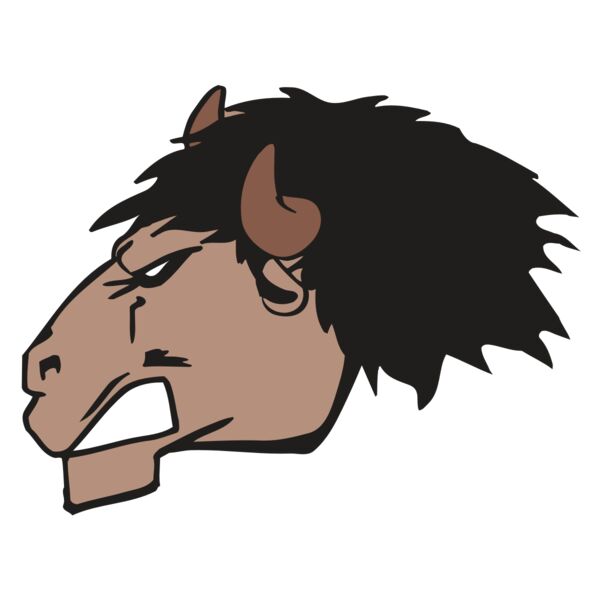 AR BUFFALO 18 RC Miniaturansicht