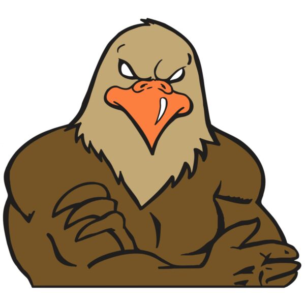 AR FALCON 26 RC Miniaturansicht