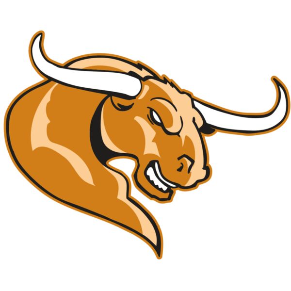 AR BULL 14 RC Miniaturansicht