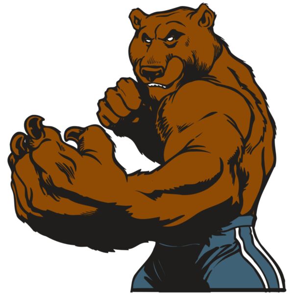 AR BEAR 31 RC Miniaturansicht