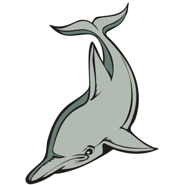 BAW DOLPHIN 01 RC Miniaturansicht