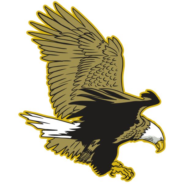 AR10 EAGLE 01 RQC Miniaturansicht