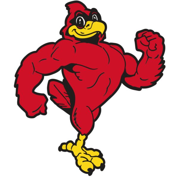 AR CARDINAL 41 RC Miniaturansicht