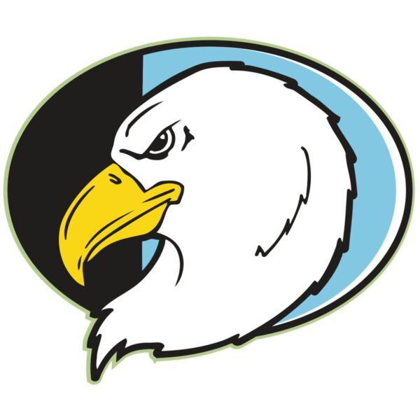 AR EAGLE 55 RC Miniaturansicht