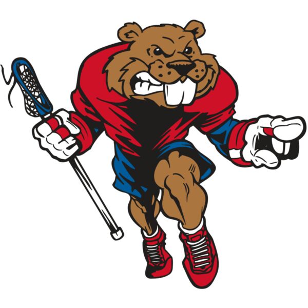 AR8 BEAVER 03 RQC Miniaturansicht