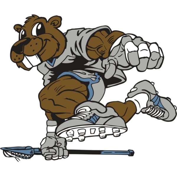 AR8 BEAVER 04 RQC Miniaturansicht