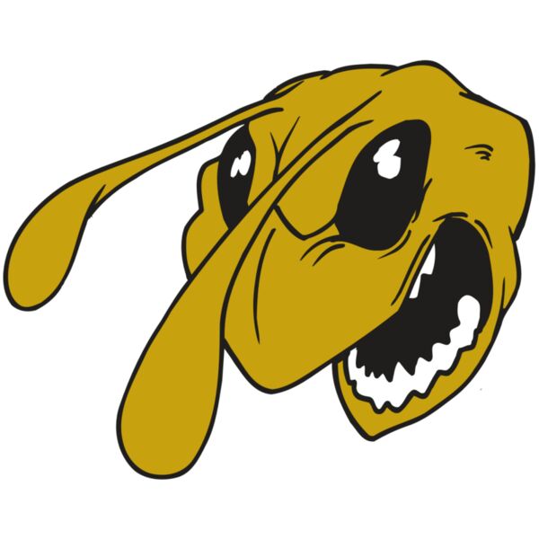 AR5 BEE 26 RQC Miniaturansicht