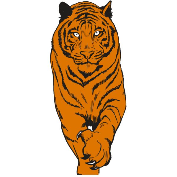 AR4 TIGER 08 RQC Miniaturansicht