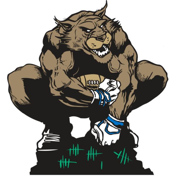 AR WILDCAT 34 RC Miniaturansicht