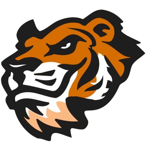 AR TIGER 21 RC Miniaturansicht