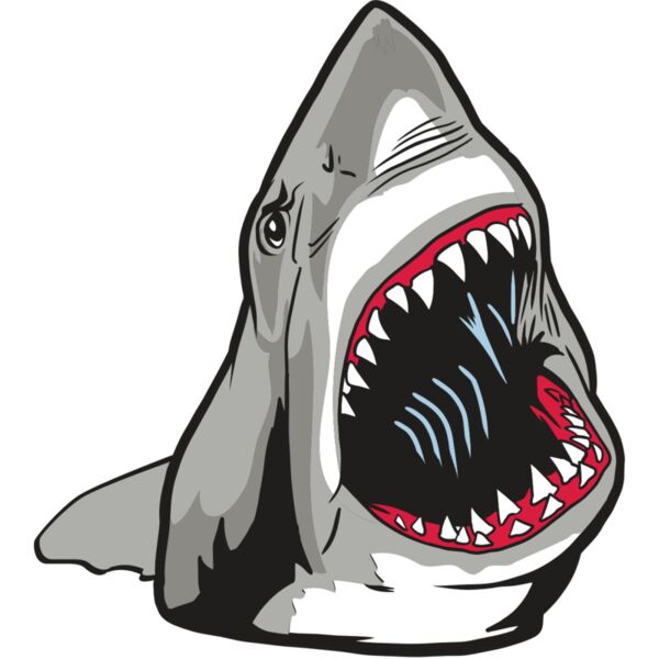 AR20 SHARK 45 RQC Miniaturansicht