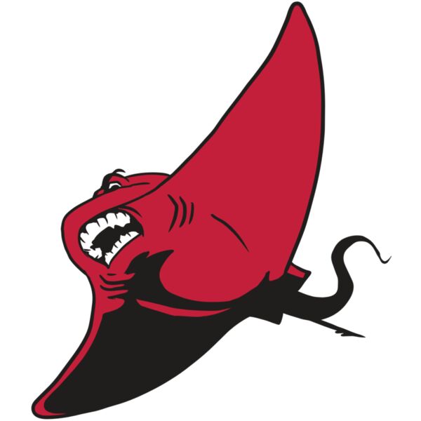 AR19 STINGRAY 04 RQC Miniaturansicht