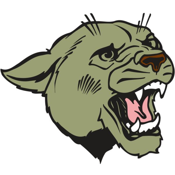 AR COUGAR 40 RC Miniaturansicht