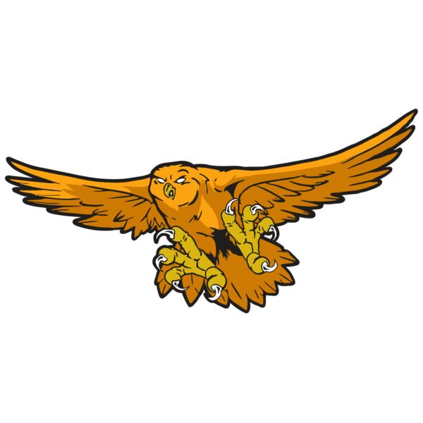 AR31 OWL 01 RQC Miniaturansicht