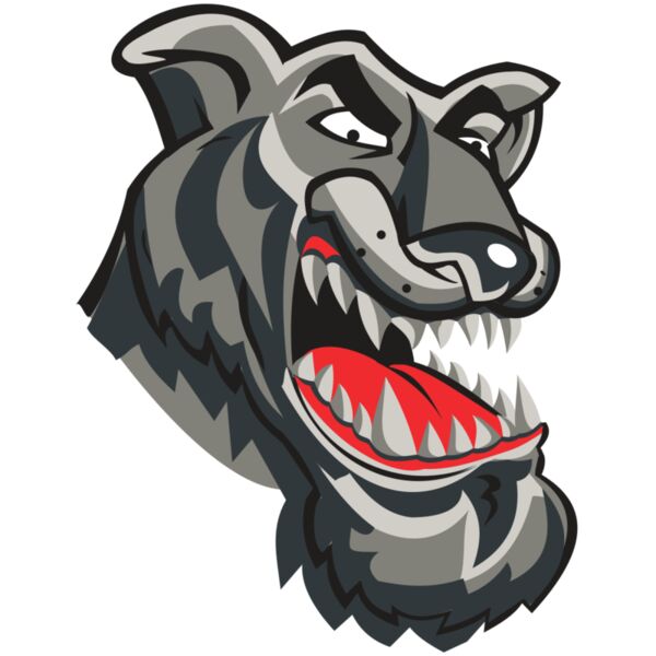 PANTHER HD0504 RQC Miniaturansicht