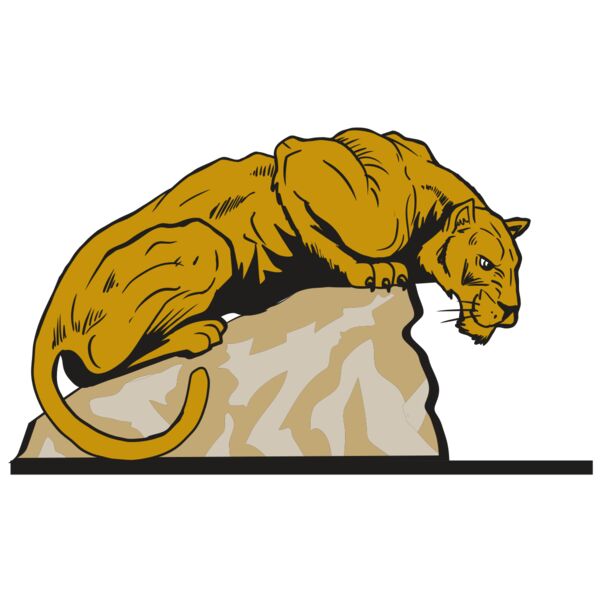 AR10 PANTHER 01 RQC Miniaturansicht