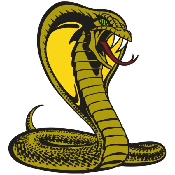 BAW SNAKE 02 RC Miniaturansicht