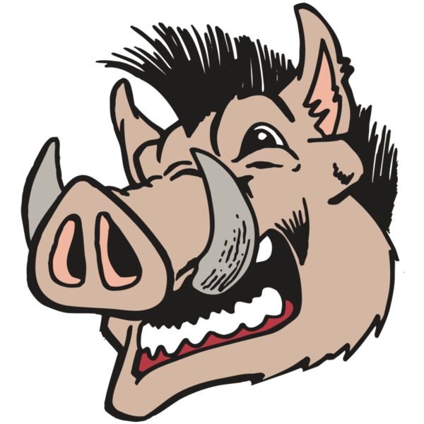 AR RAZORBACK 18 RC Miniaturansicht