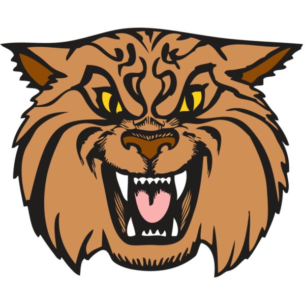 BAW WILDCAT 04 RC Miniaturansicht