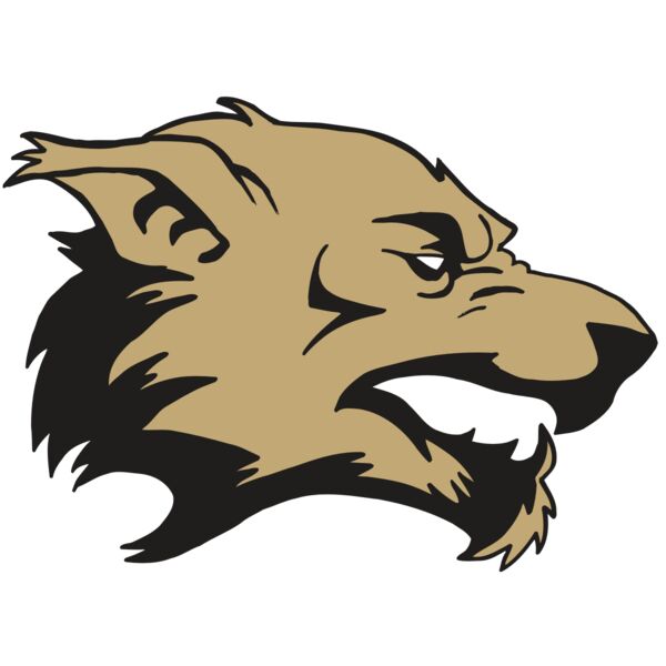 AR5 Wolf 12 RQC Miniaturansicht