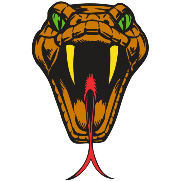 BAW SNAKE 05 RC Miniaturansicht