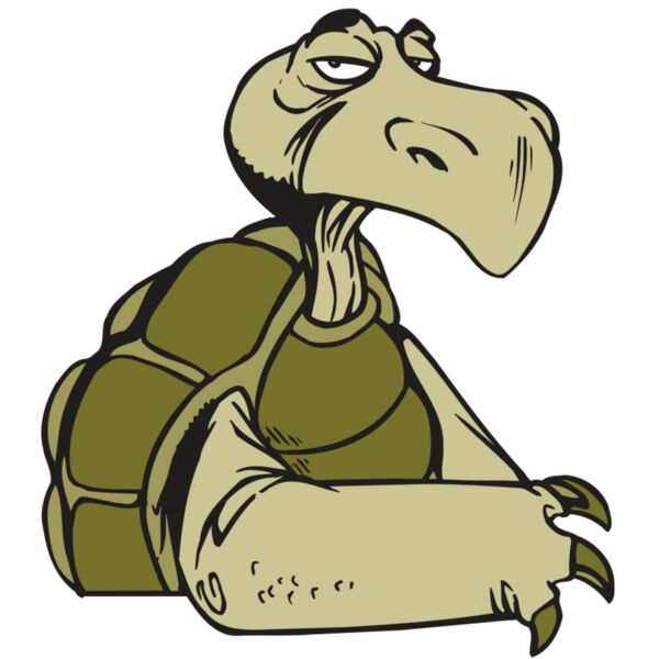 AR5 Turtle 01 RQC Miniaturansicht