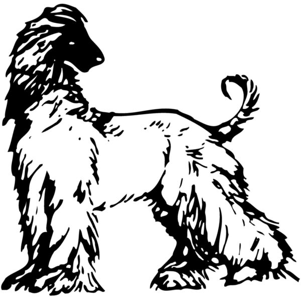 DC0012 Miniaturansicht