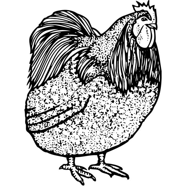 CHICK014 Miniaturansicht