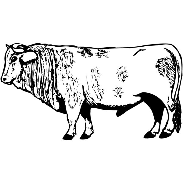 COW014 Miniaturansicht