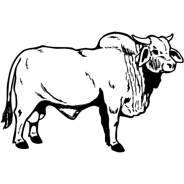 COW015 Miniaturansicht