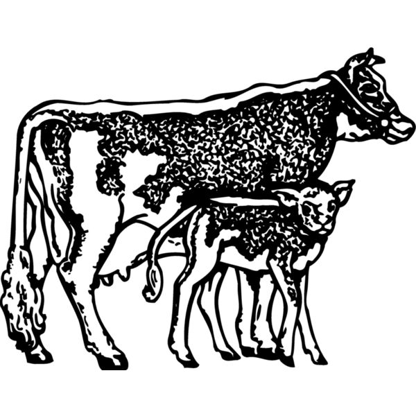 COW032 Miniaturansicht