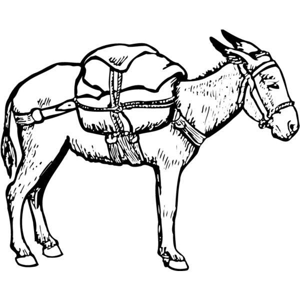 BURRO012 Miniaturansicht