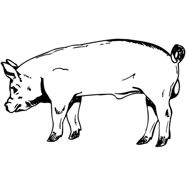 HOG0006 Miniaturansicht