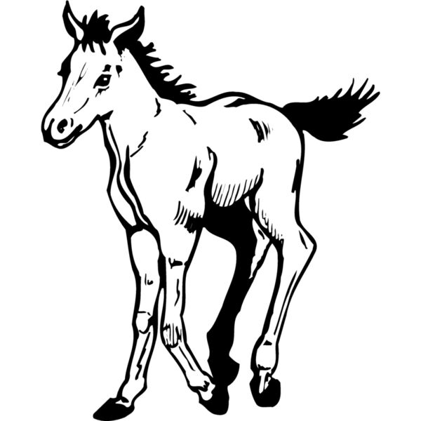 HORSE044 Miniaturansicht